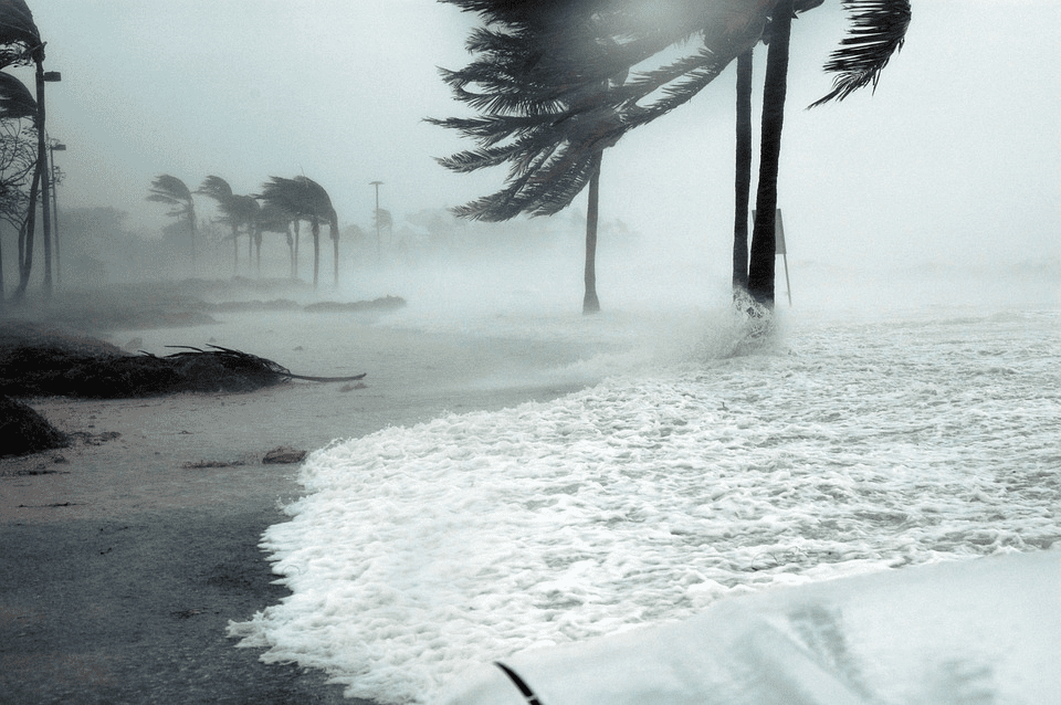 where to buy Belize Hurricane Insurance